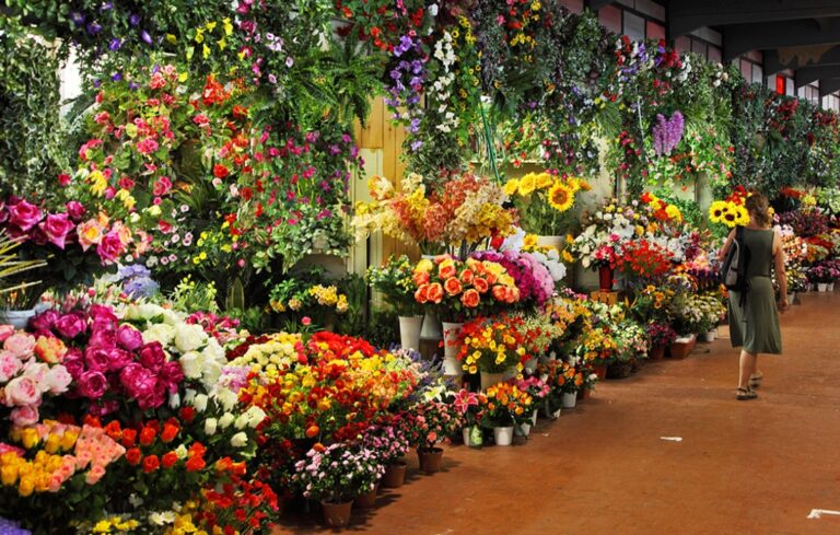 Tradición: Mercado Madre Selva en Xochimilco