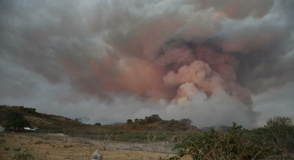 Activan alerta atmosférica en Jalisco tras incendio