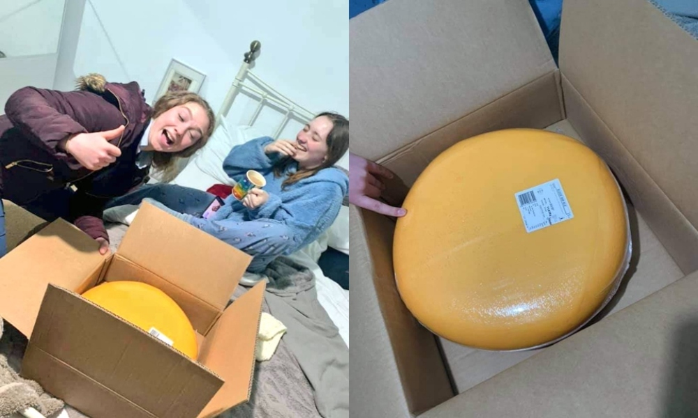 Conquistar con queso: un hombre en EU envía rueda de queso de 12 kilos a su cita