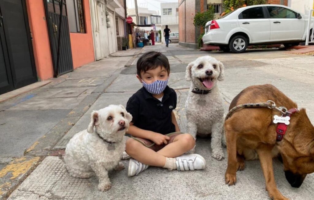 Conoce al niño que entrevista perros callejeros en la Ciudad de México