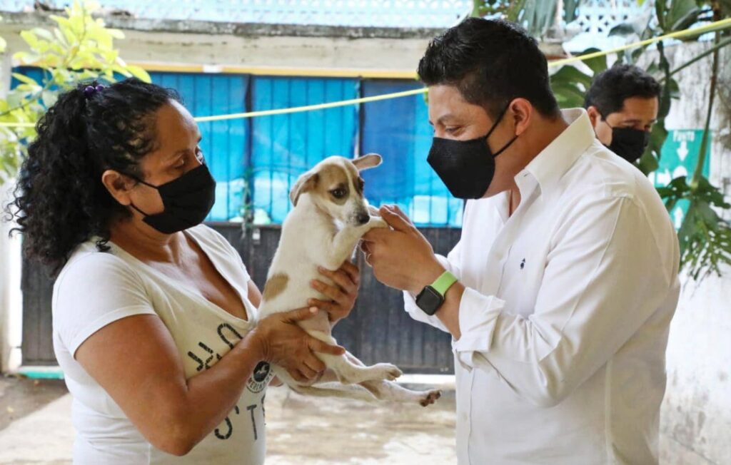 Ricardo Gallardo defenderá la vida y derechos de los animales