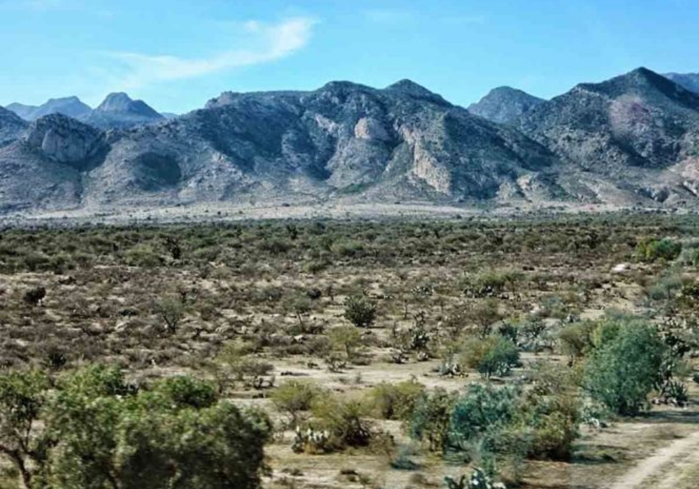 Decretan como área natural protegida a la Sierra de San Miguelito, en SLP