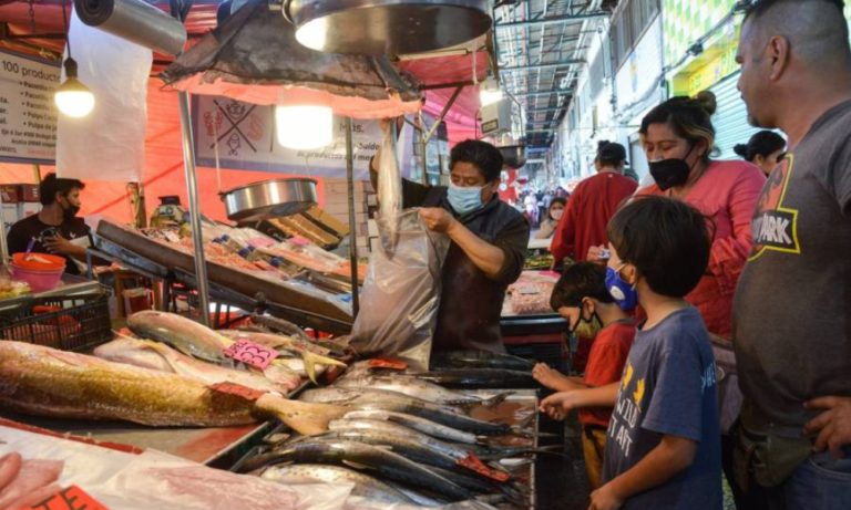 Profeco: esta temporada de Cuaresma consume productos marinos económicos