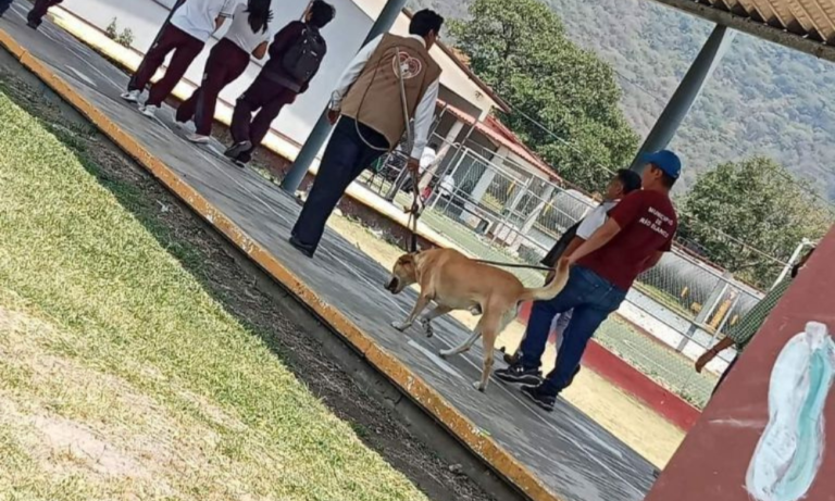 Estudiantes adoptan a un perro y lideran campaña para salvarlo del sacrificio