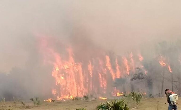 Riesgo latente de incendios forestales en San Luis Potosí