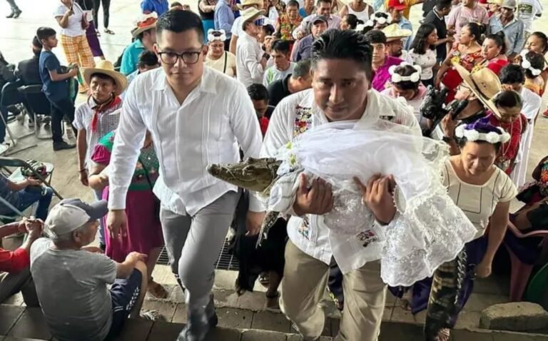 Alcalde de Oaxaca tiene boda con un caimán