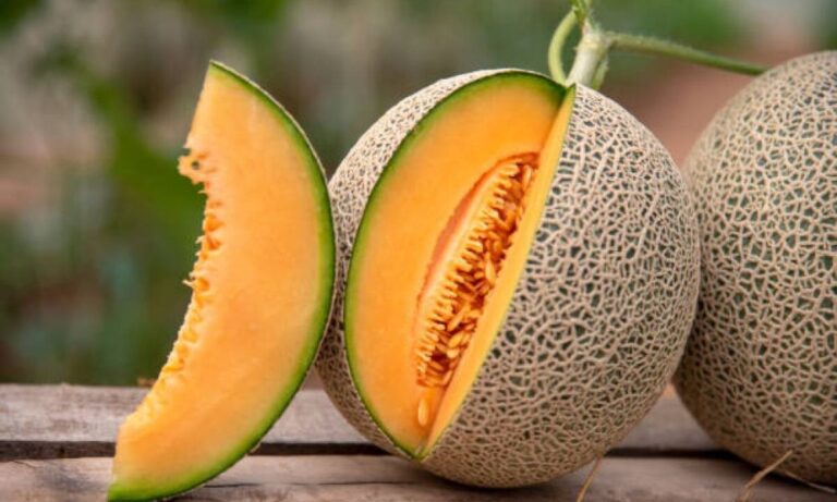 Cierre temporal de empresa procesadora de melones por brote de salmonella