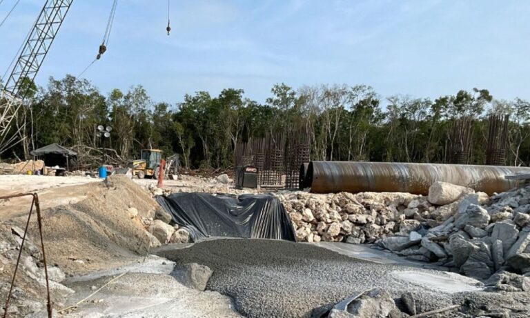 Reanudación del juicio de amparo en Yucatán por relleno de cenotes en el Tren Maya